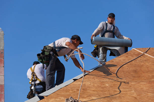 Best New Roof Installation  in Zephyrhills, FL