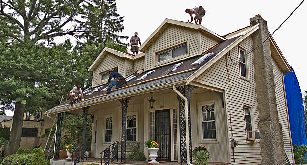 Best Roof Repair Services  in Zephyrhills, FL
