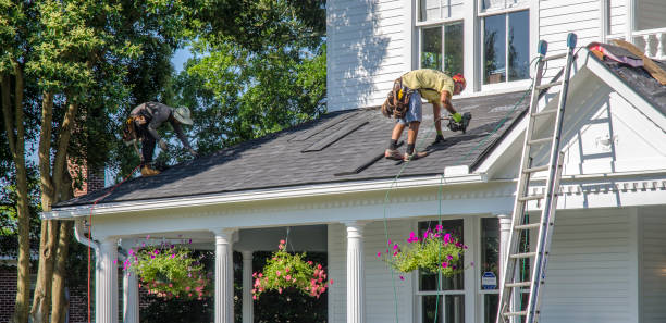 Best Emergency Roof Repair  in Zephyrhills, FL