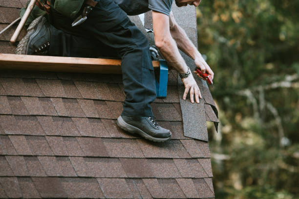 Best Sealant for Roof  in Zephyrhills, FL